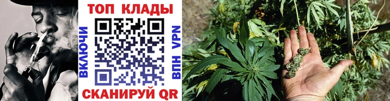 Где продают наркотики Струнино АМФЕТАМИН  COCAIN  Alpha-PVP  Галлюциногенные грибы  Гашиш  МЕФ 