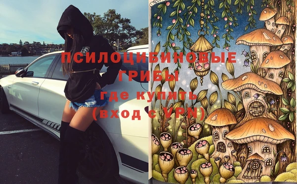 бошки Нязепетровск